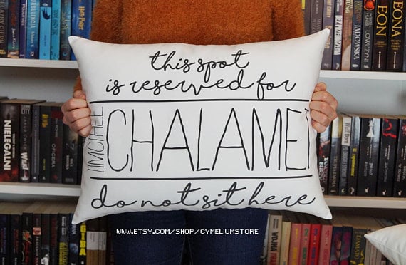 Timothée Chalame Decorative Pillow