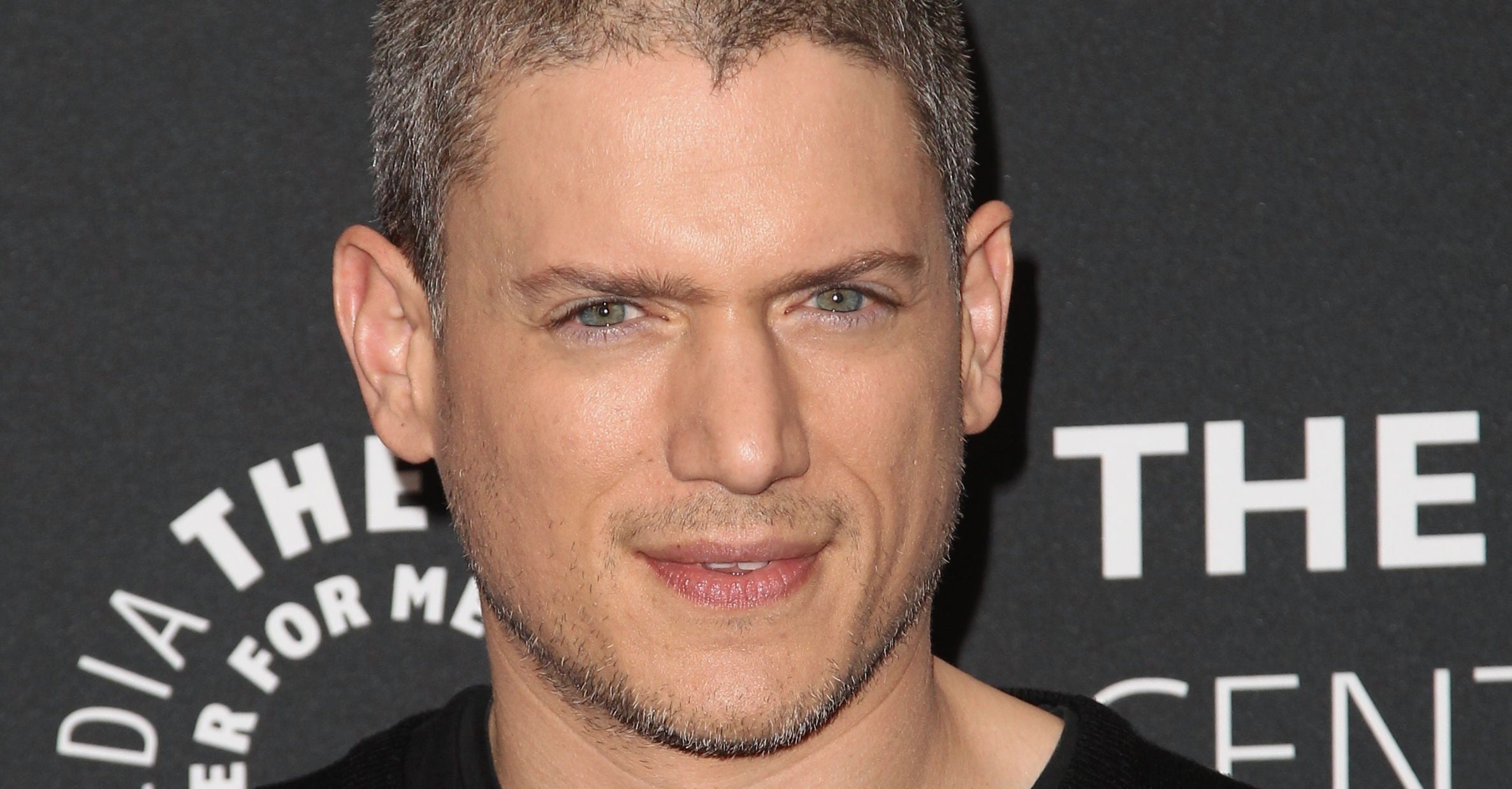 The Secret Struggles Triumphs The Life And Achievements Of Wentworth Miller A True Inspiration - wvk7yyr