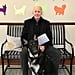 Joe Biden Brings First Rescue Dog to Live in White House