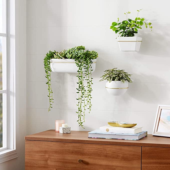 AmazonBasics Wall Planter