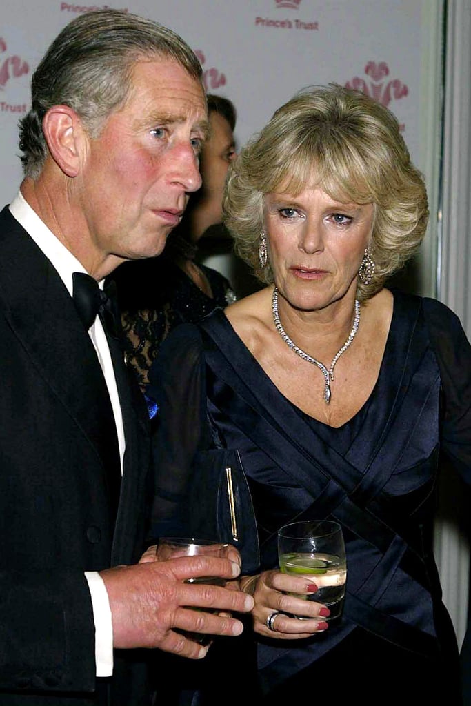 25 Cute Photos of Prince Charles and Camilla