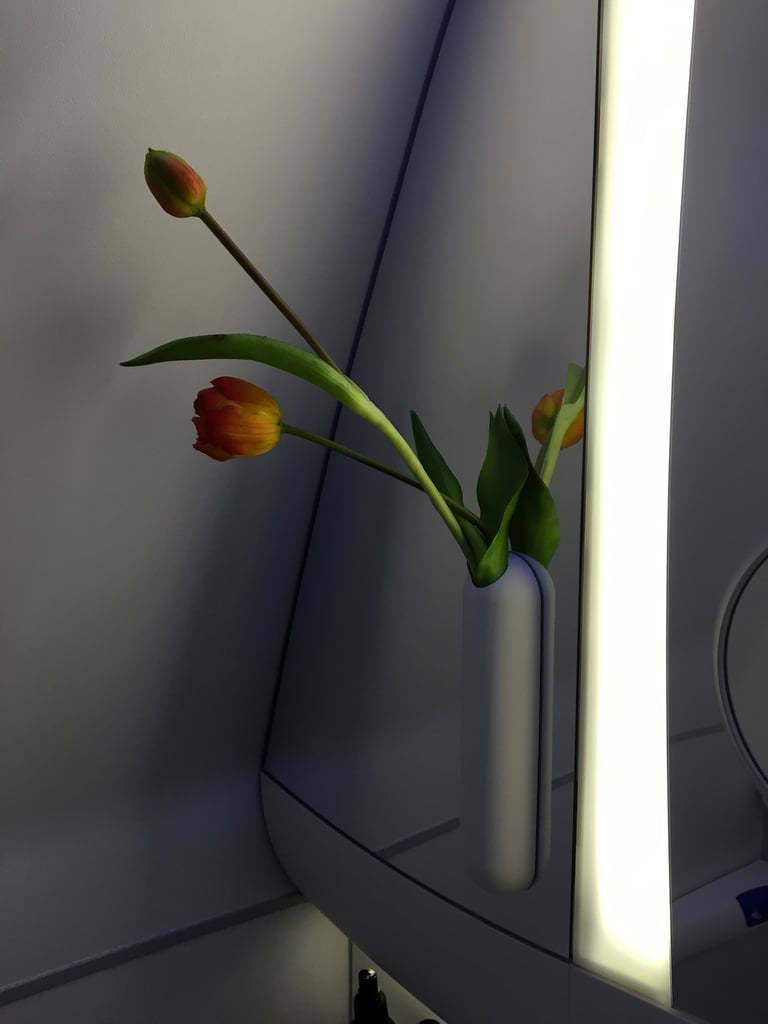 The bathroom also had lovely touches. Airplane bathrooms can sometimes be too small or feel gross, but the added addition of a flower, lotion, and spritzing mist made it nice to use.