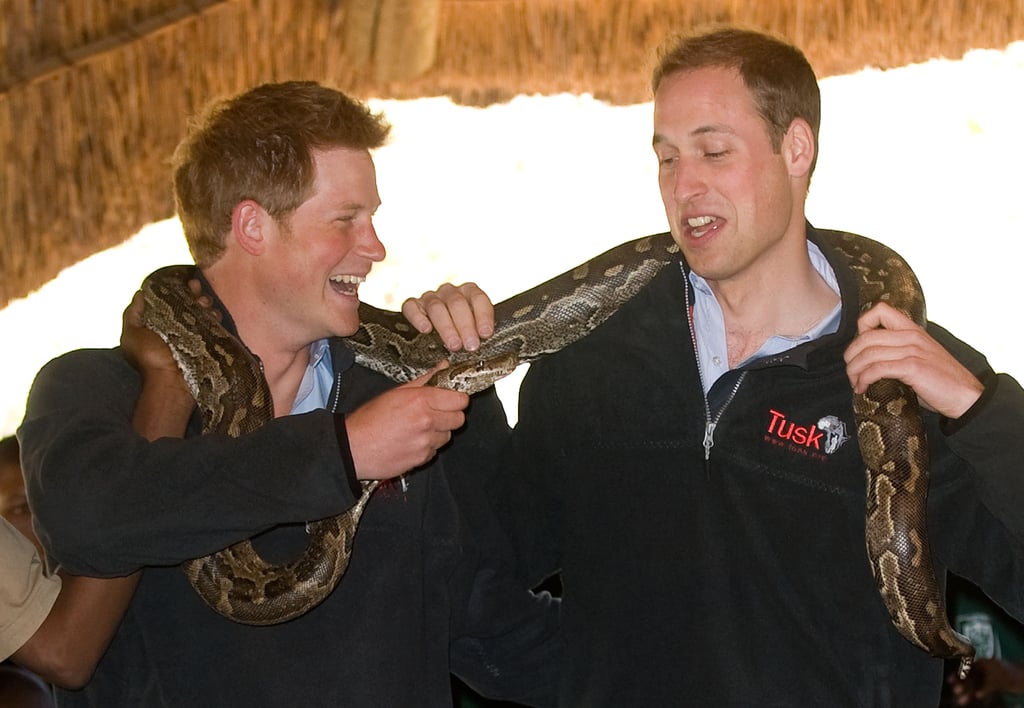 Things got a little dangerous as Harry prodded William with an African rock python during their visit to Lesotho in June 2010.