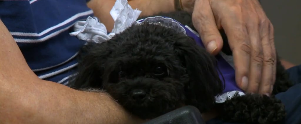 Dog Visits Nursing Home