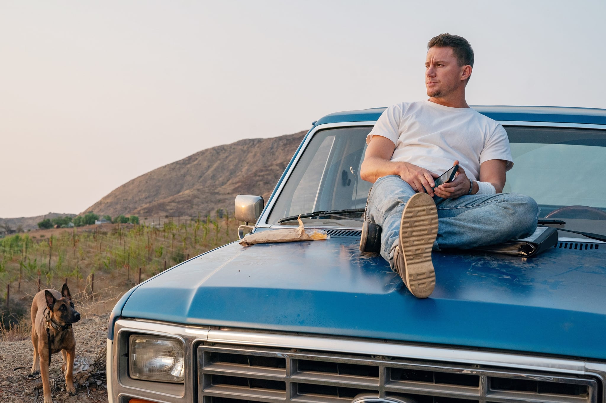 DOG, Channing Tatum, 2022. ph: Hilary Bronwyn Gayle /  United Artists / Courtesy Everett Collection