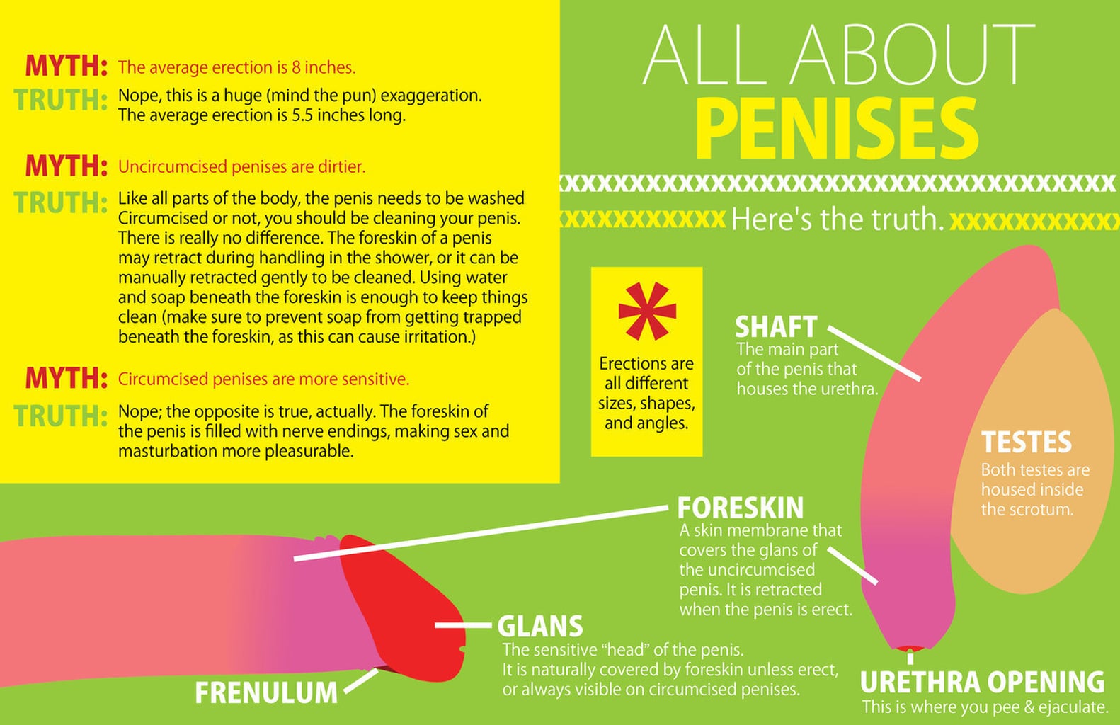 Sex Ed Infographic | PS Love