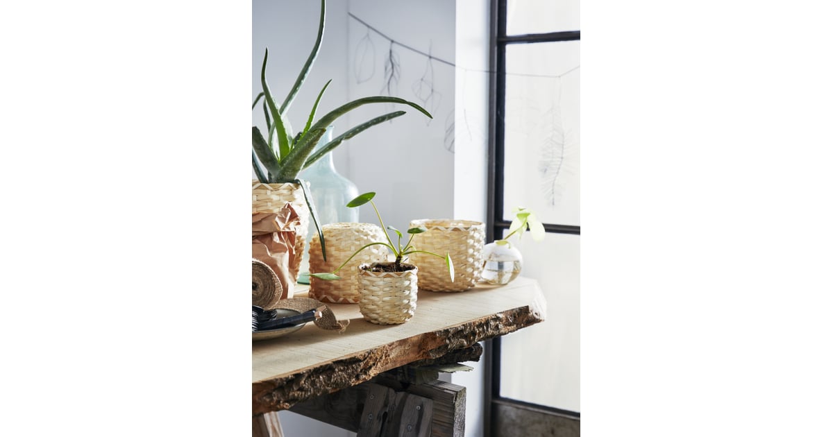 Kaffebona Plant Pots Ikea New Collection April 2019 POPSUGAR Home