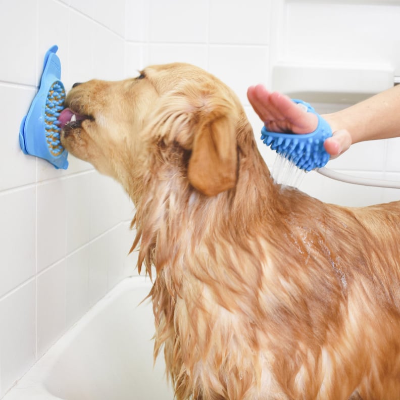 Put Your Dog in the Bath, and Groom!