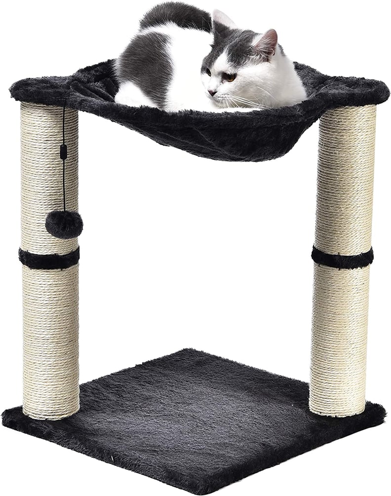 Best Cat Tree With a Hammock
