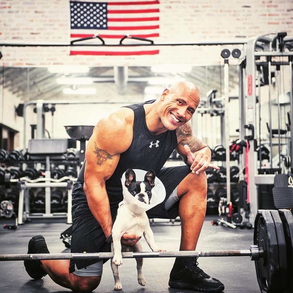 How Much Weight Can Dwayne Johnson Deadlift