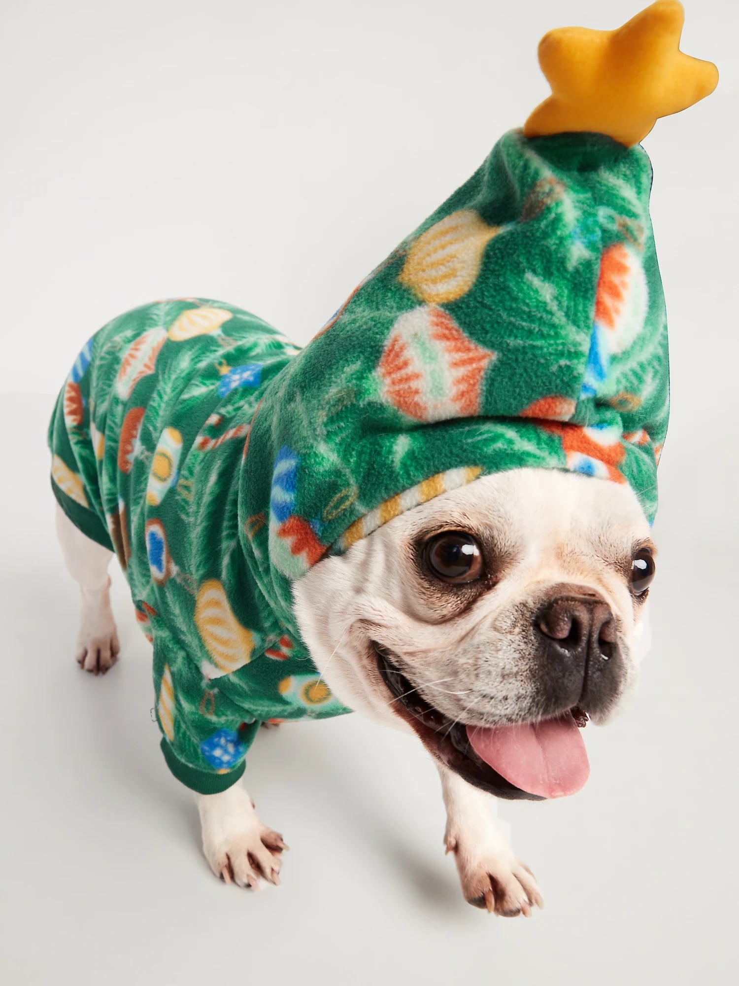  Dog Clothing