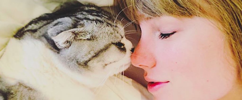 Pictures of Taylor Swift With Her Cats