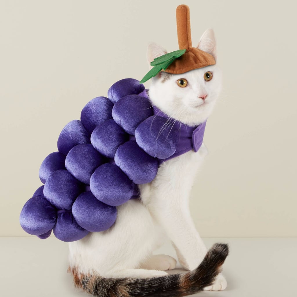 Cheap Pet Costumes Popsugar Smart Living