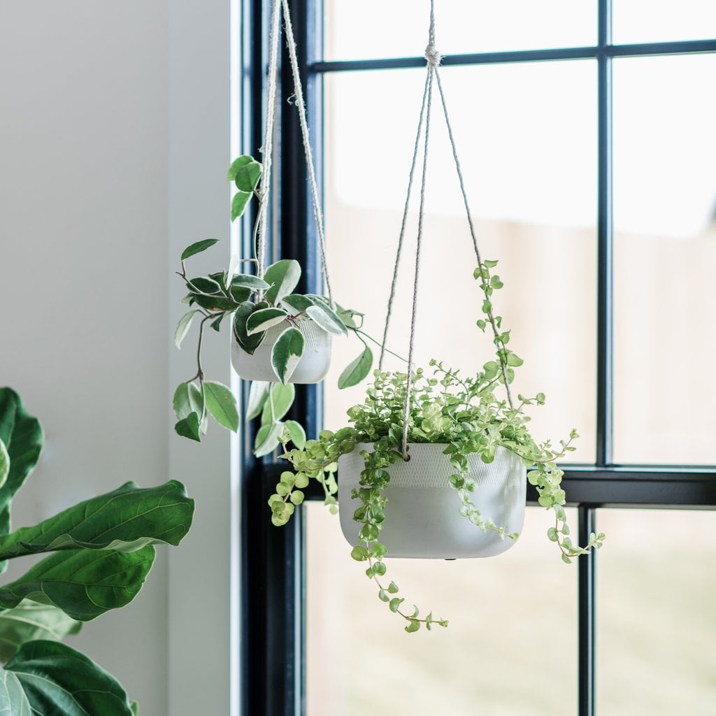Simplicity Ceramic Hanging Planter