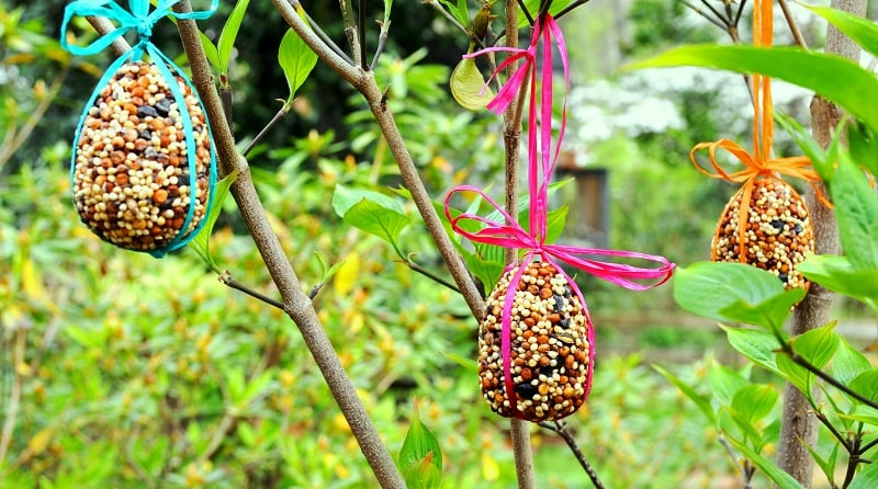 Bird Feeders