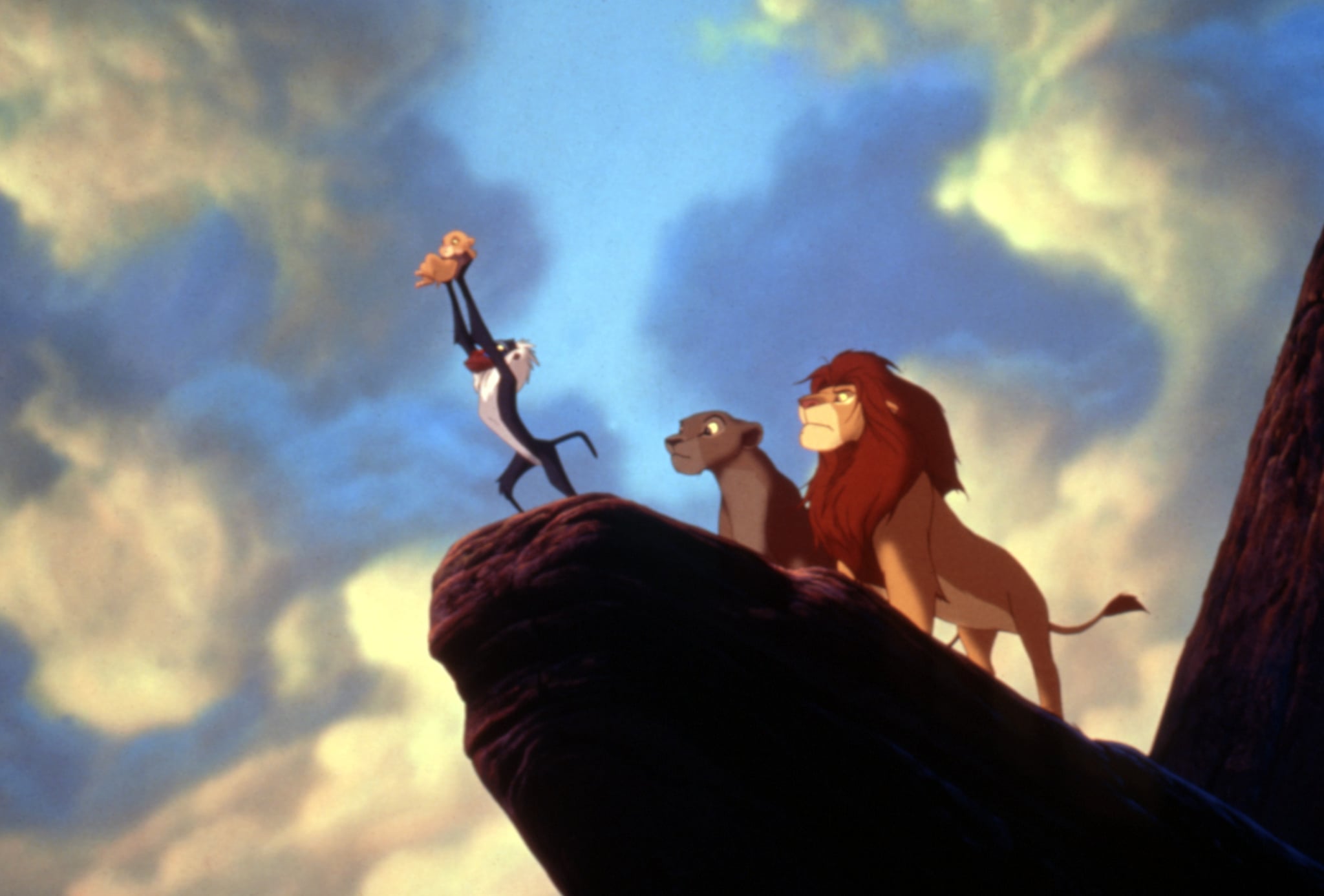 THE LION KING a CANVAS PICTURE 10" x 10" CLASSIC DISNEY FILM ONLY  £7.99 