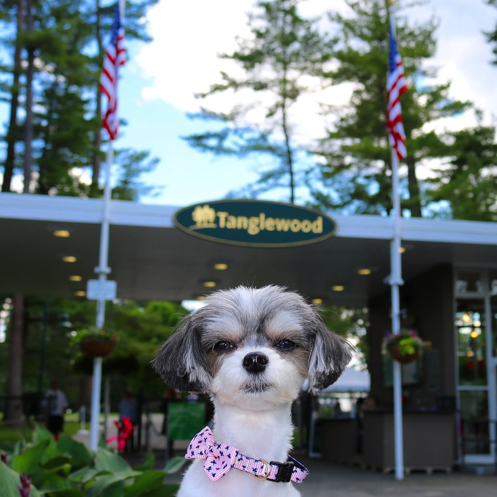 I also visited the historical outdoor concert venue Tanglewood, where you can enjoy professional music from all different genres on the luscious green lawn! It is a must do in the Berkshires!
