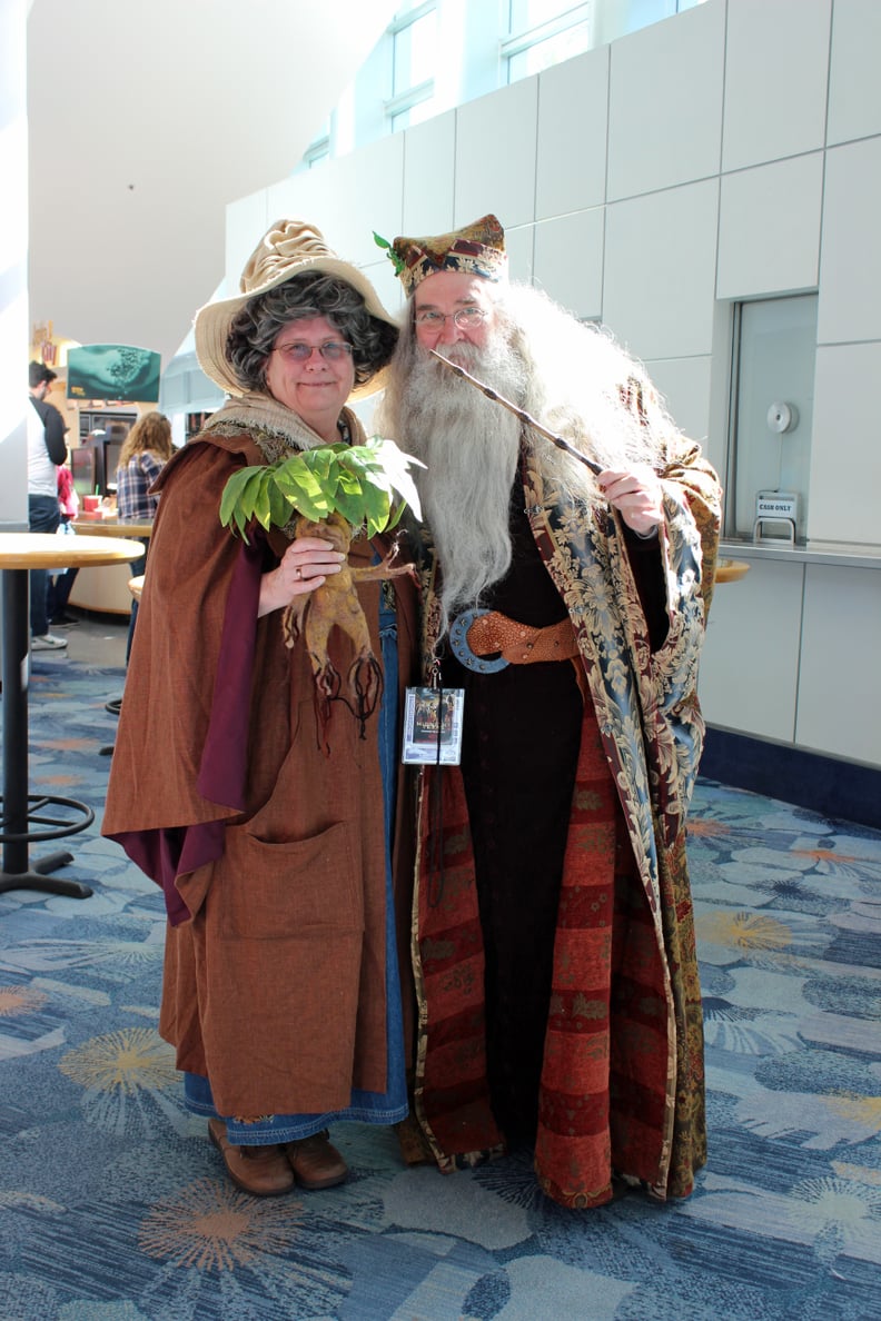 Professor Sprout and Albus Dumbledore — Harry Potter