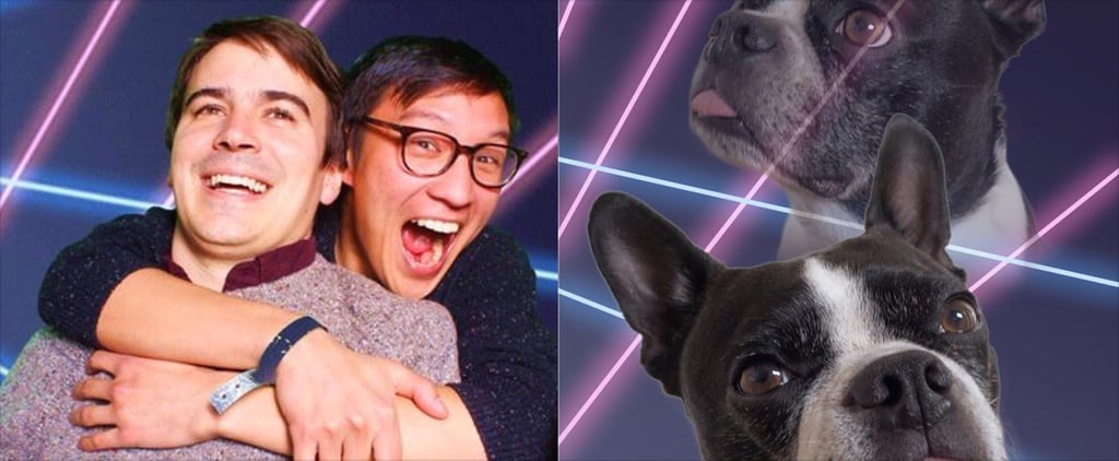 حساب You-Dog-Now على تويتر
