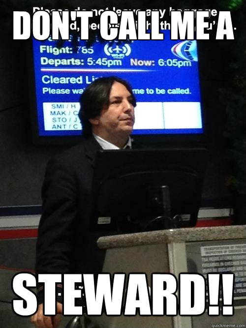 The proper term is "flight wizard attendant."