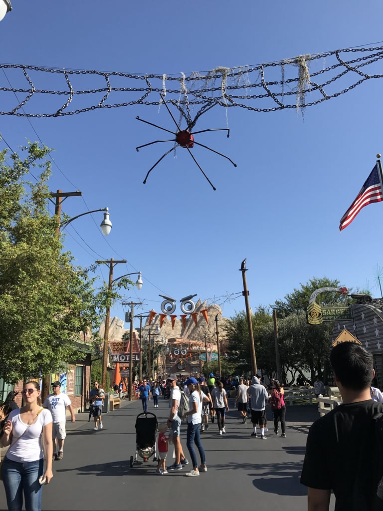 Spiders are strung across Cars land.