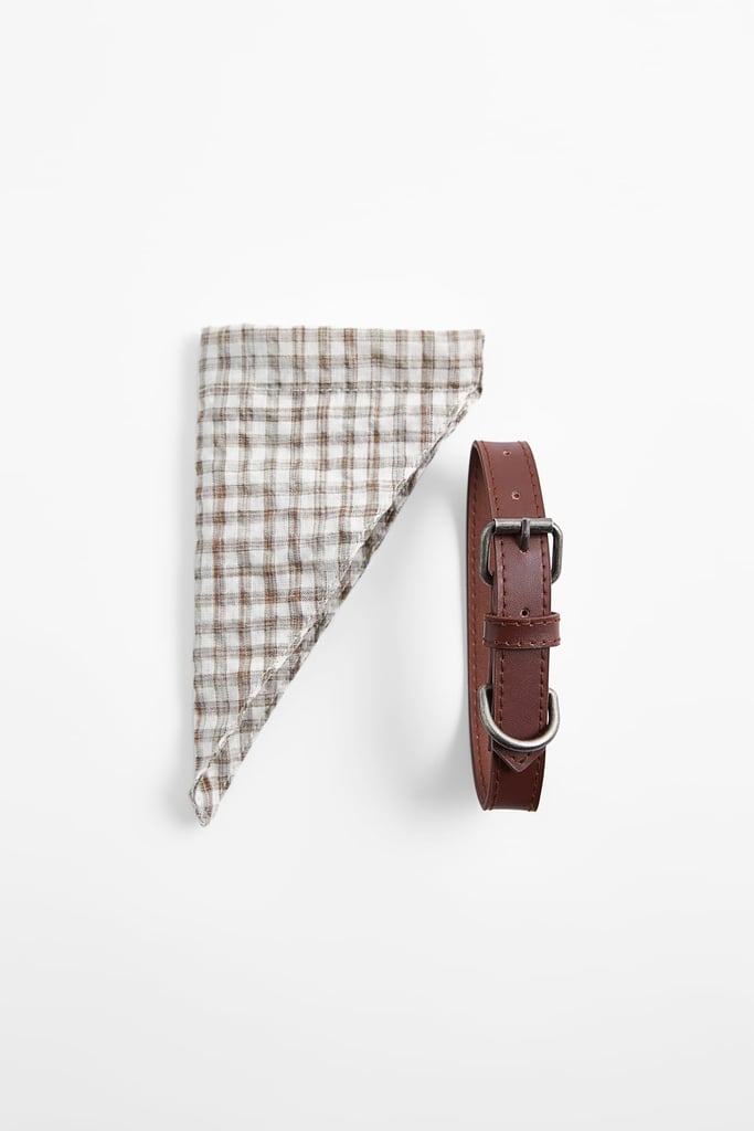 Leather Collar and Bandana