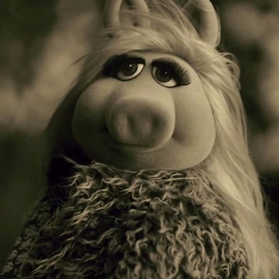 The Muppets Spoof of Adele's Hello