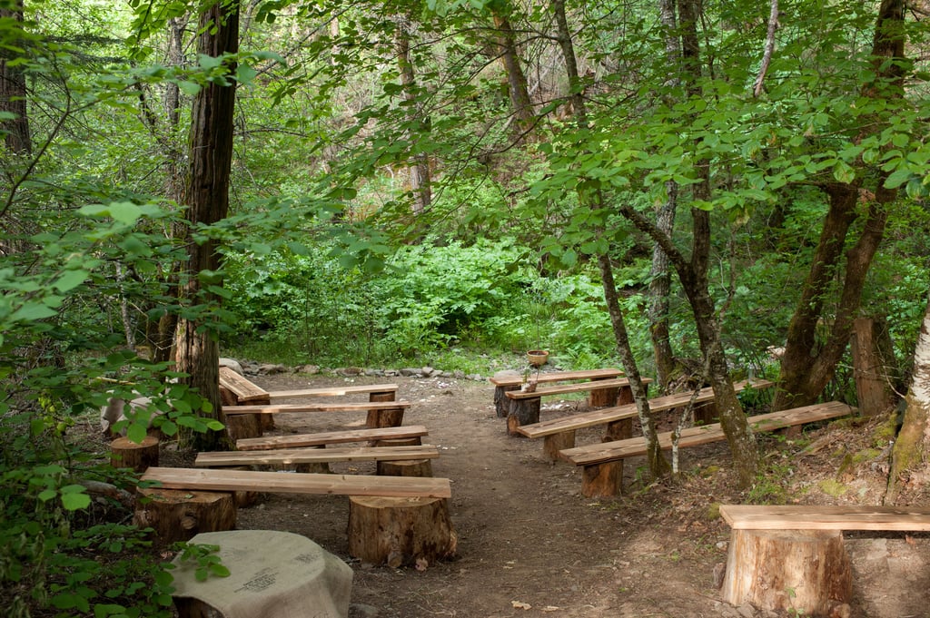 California Forest Wedding