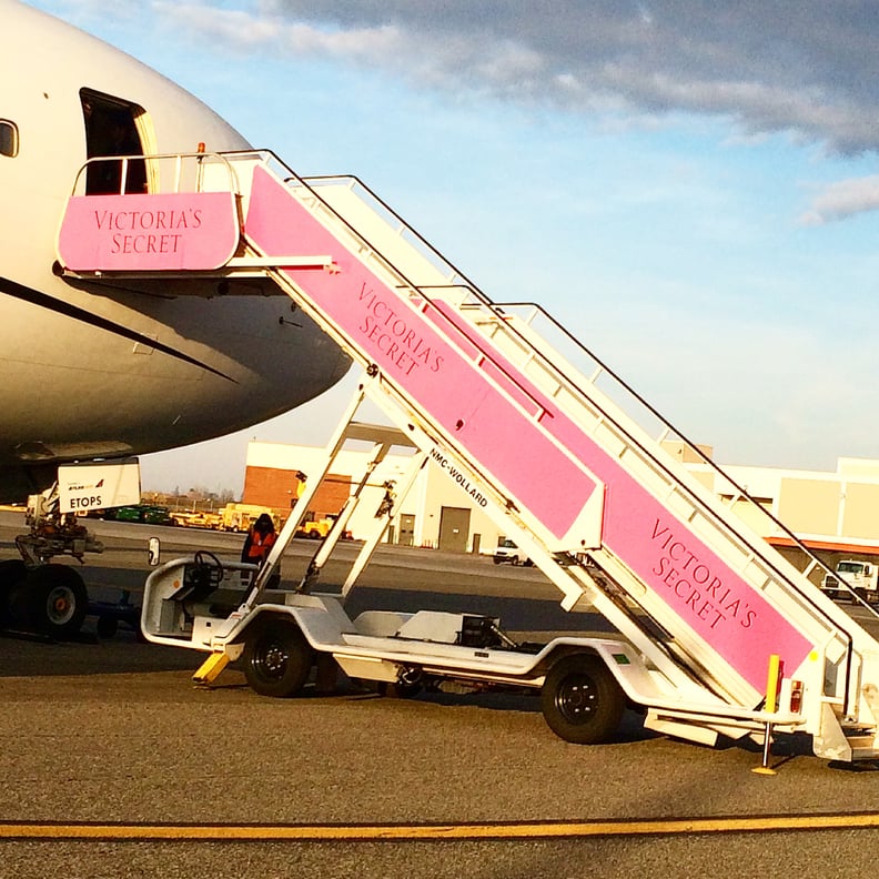 The Pink Plane
