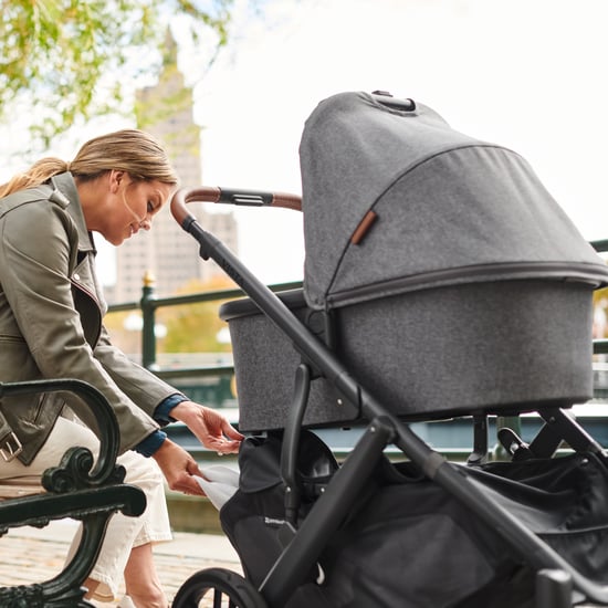 Uppababy Vista v2审查