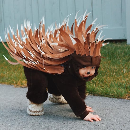 DIY Toddler Porcupine Costume For Less Than $5