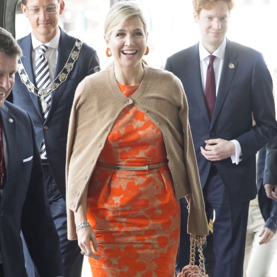 Queen Maxima's Dress at the Netherlands Climate Conference