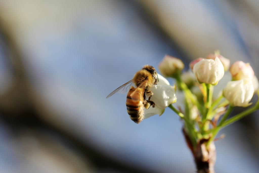 30+ Pretty Photos of Spring to Remind You That It's Coming!