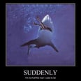 Hilarious Memes That Prove Sharks Are Just Misunderstood