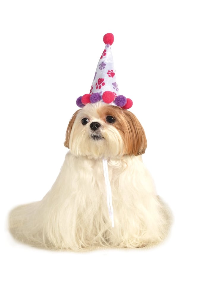 Clown Top Pet Halloween Costumes 2015 POPSUGAR Pets Photo 4