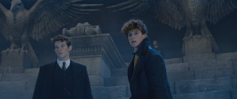 The Casting For Newt Scamander's Brother Is Spot On