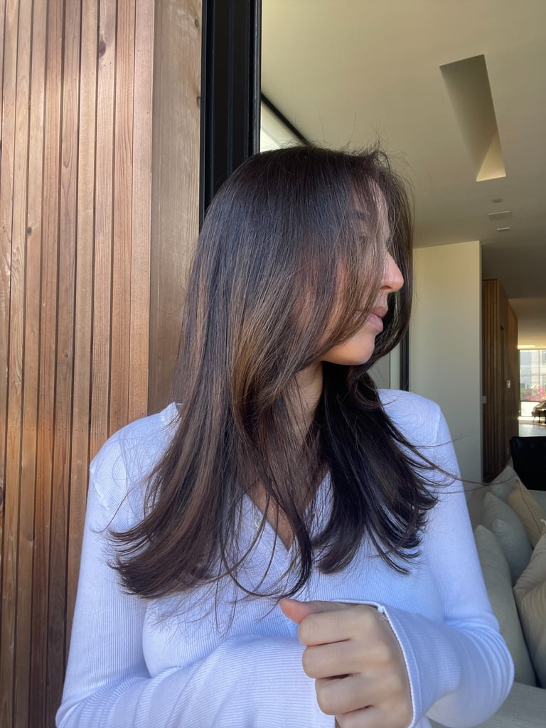 I Tried the Translucent Brown Hair-Color Trend: See Photos | POPSUGAR ...