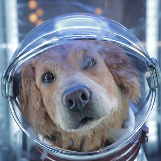 Cosmo the Spacedog From Disneyland's Guardians of the Galaxy
