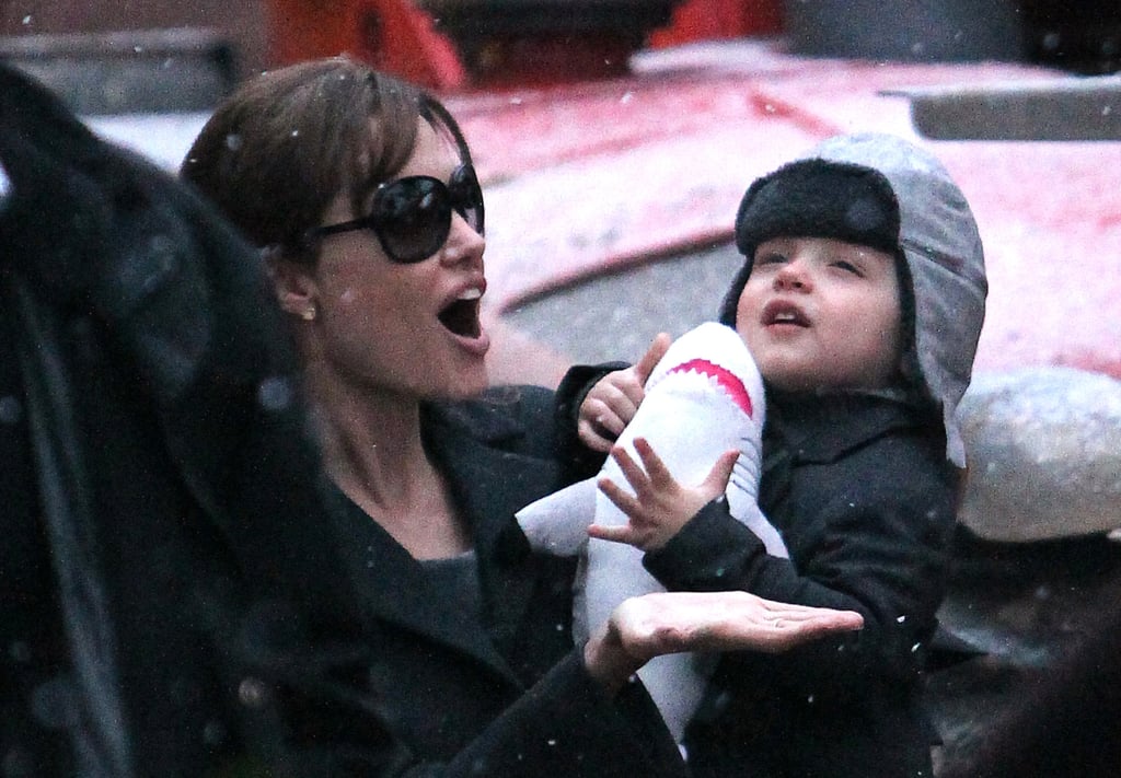 Angelina Jolie and Knox got excited about snow flurries in France in December 2010.