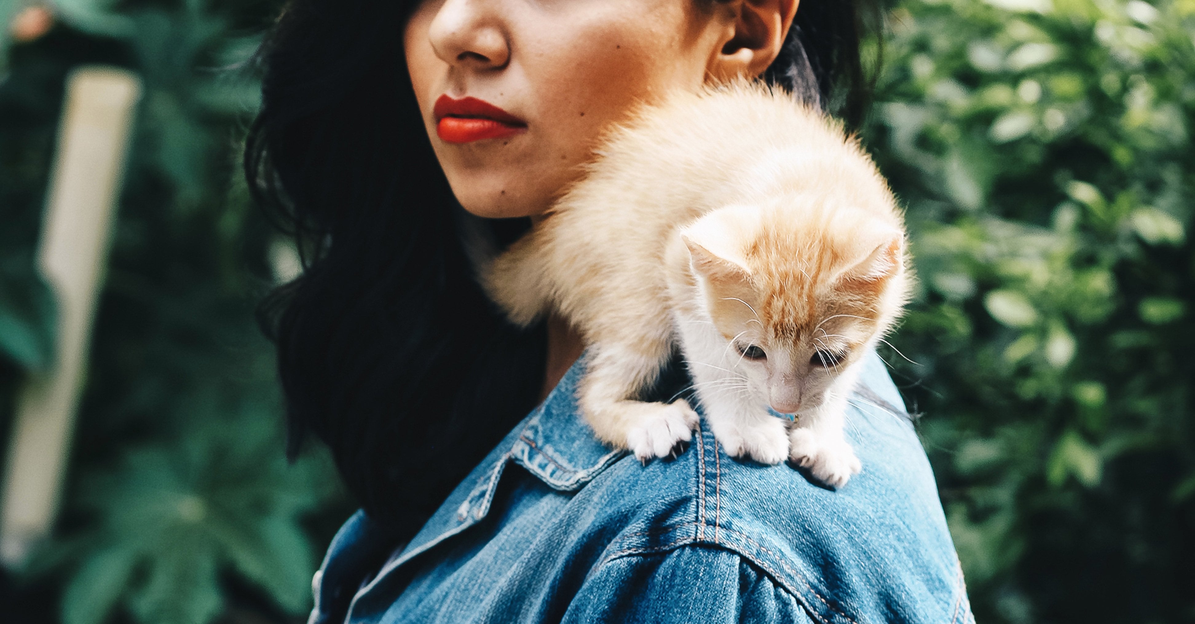 do-cats-help-with-human-anxiety-popsugar-smart-living