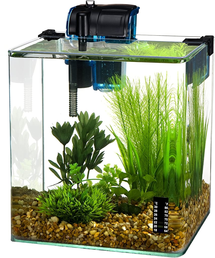 Penn-Plax Water-Word Vertex Desktop Aquarium Kit