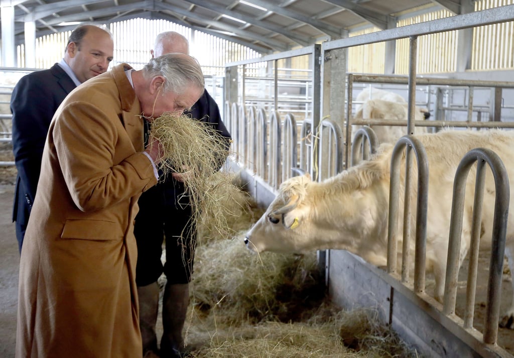 Photos of Prince Charles With Animals