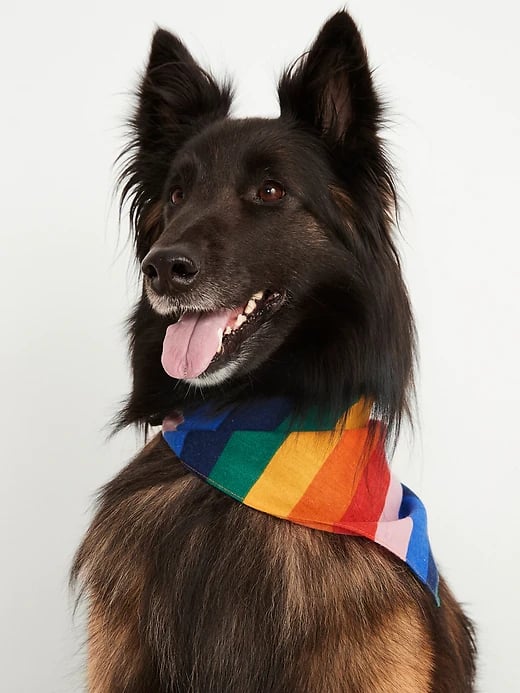 Old Navy Patterned Flannel Bandana in Rainbow