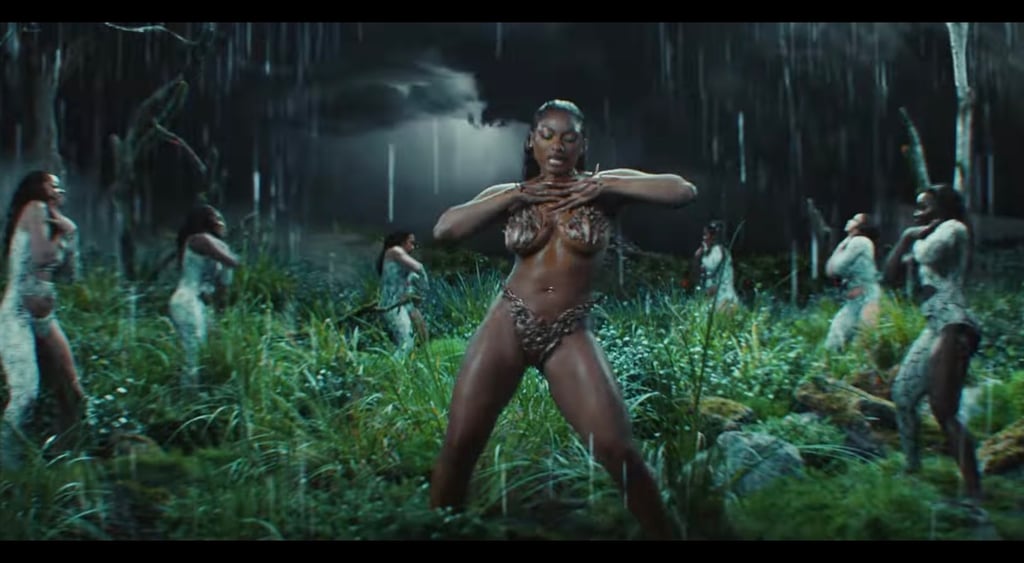 Megan Thee Stallion's "Cobra" Video Outfits: Brown Thongkini