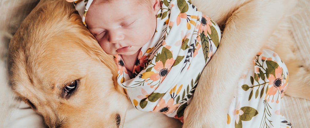 Cute Pictures of Dogs Napping With Kids and Babies