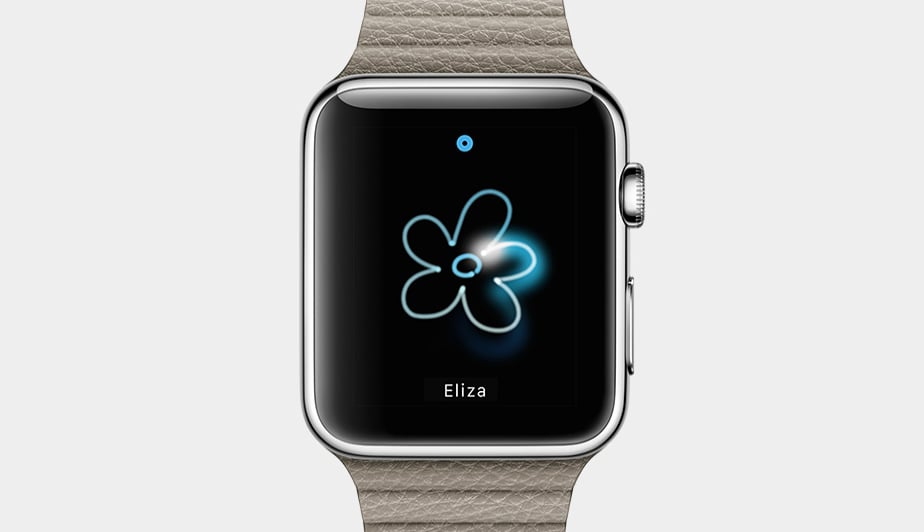 Apple Watch Options