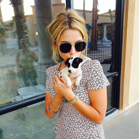 Celebrities and Pets I April 2014