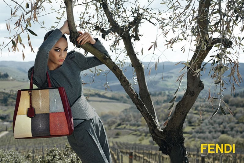 Fendi Fall 2012 Campaign Fendi Fall 2012 Campaign