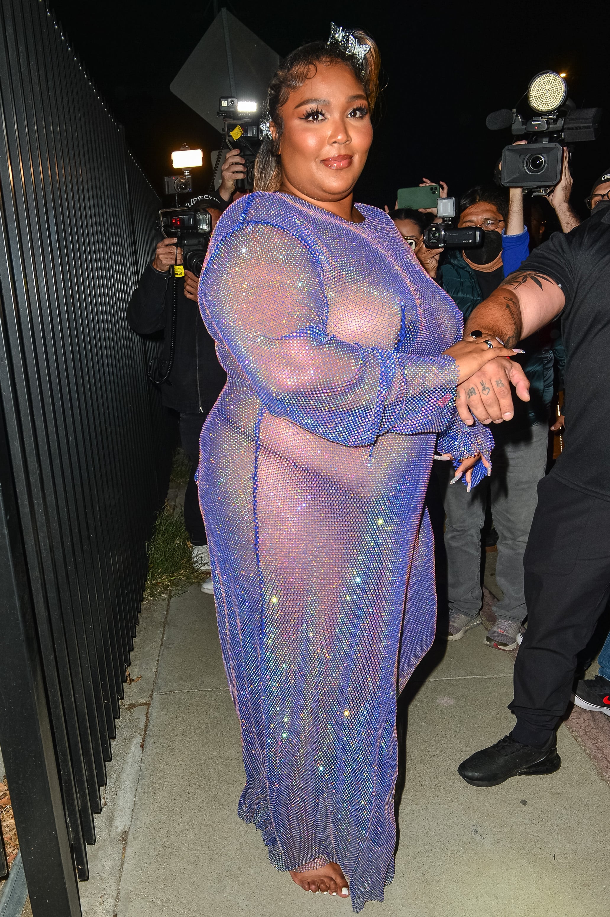 Lizzo Wears Sparkly See-Through Top in an Instagram Video