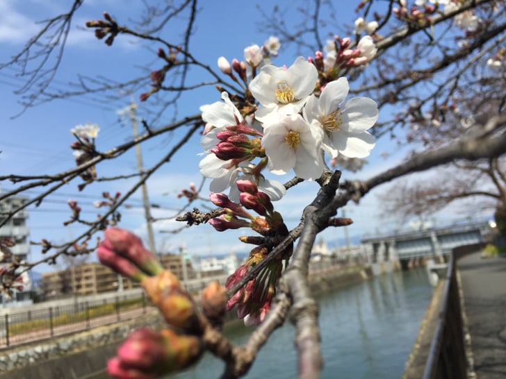 Is Japan A Good Vacation Spot Popsugar Smart Living Is Japan A Good Vacation Spot Popsugar Smart Living